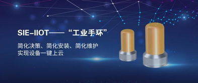 賽意信息攜工業互聯網示范線亮相工業互聯網峰會，以數字化力量助推中國智造升級轉型